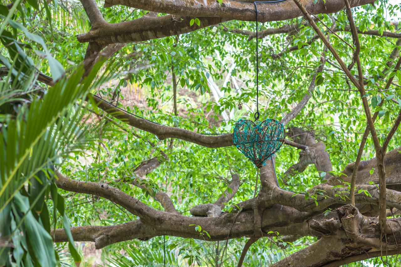 Amor Boutique Hotel Sayulita Esterno foto