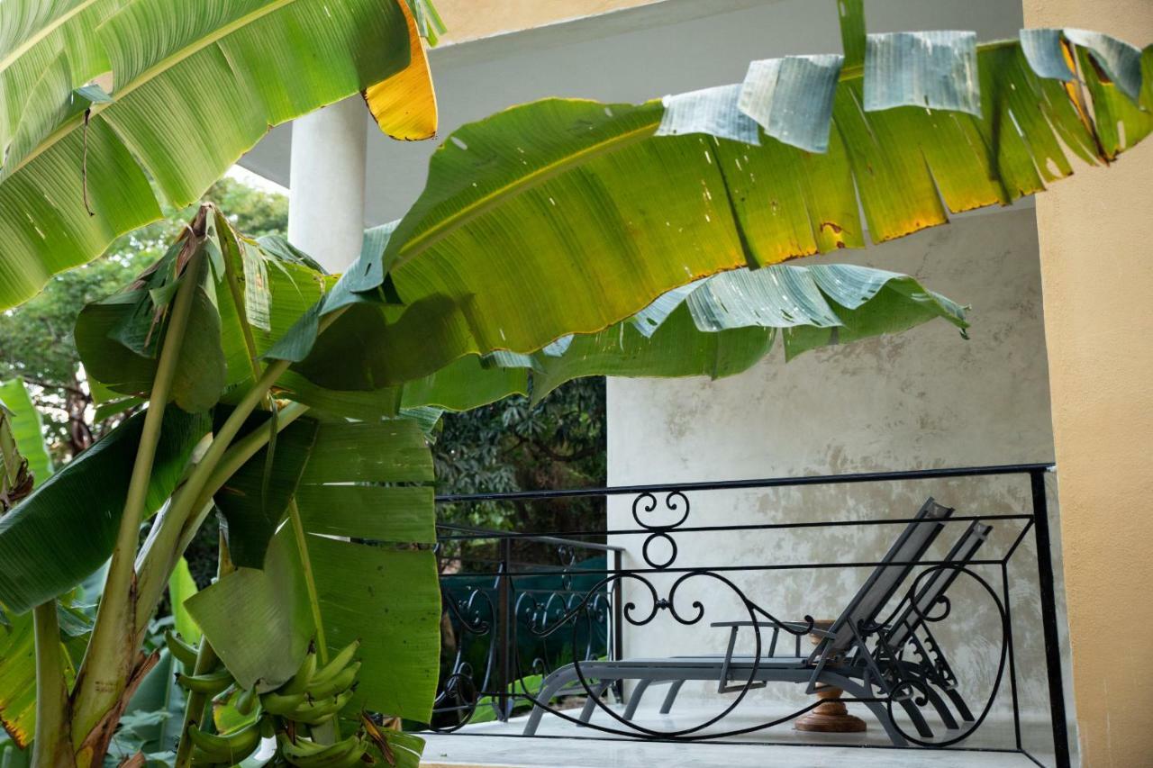 Amor Boutique Hotel Sayulita Esterno foto